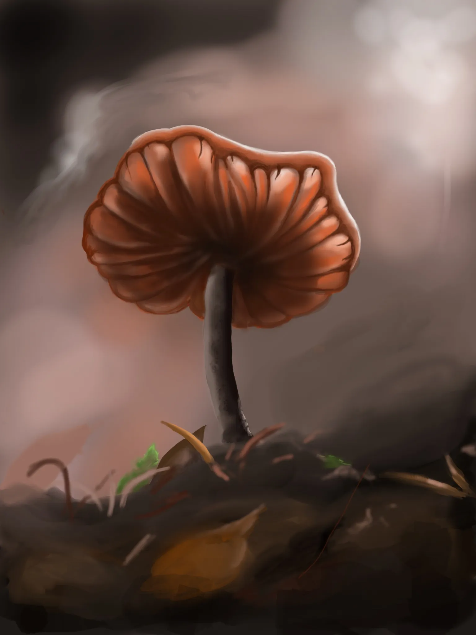 Mushroom