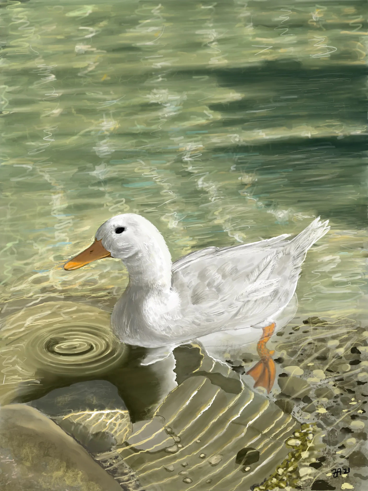 White Duck
