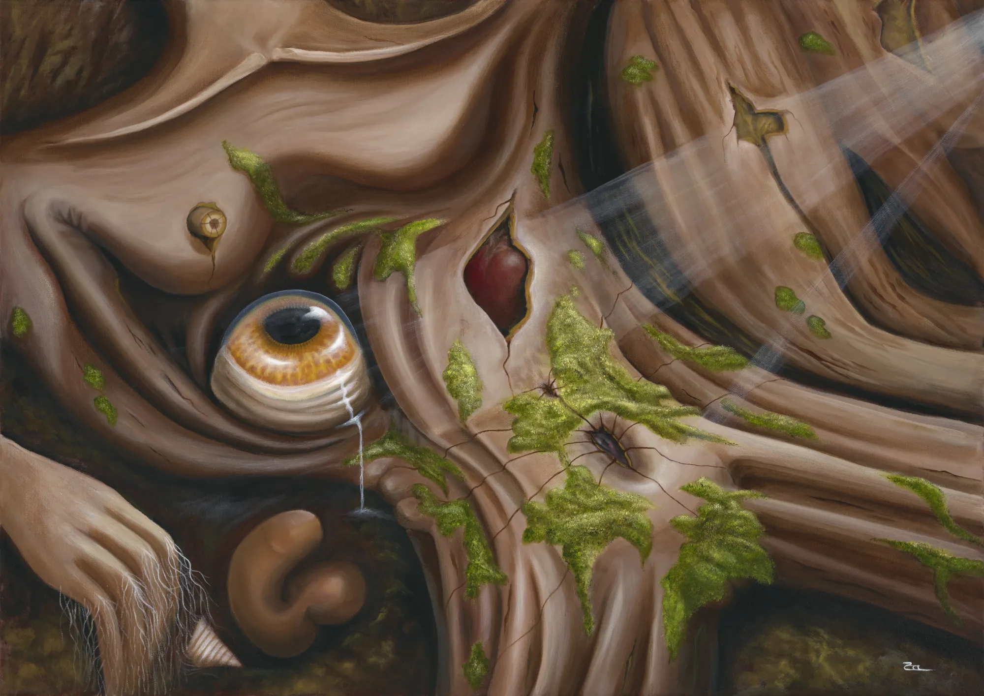 Roots