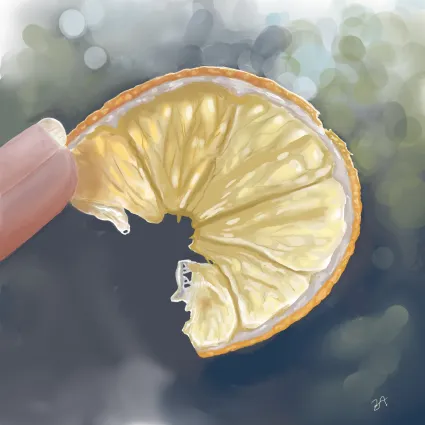 Lemon Bite