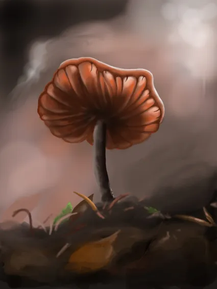 Mushroom